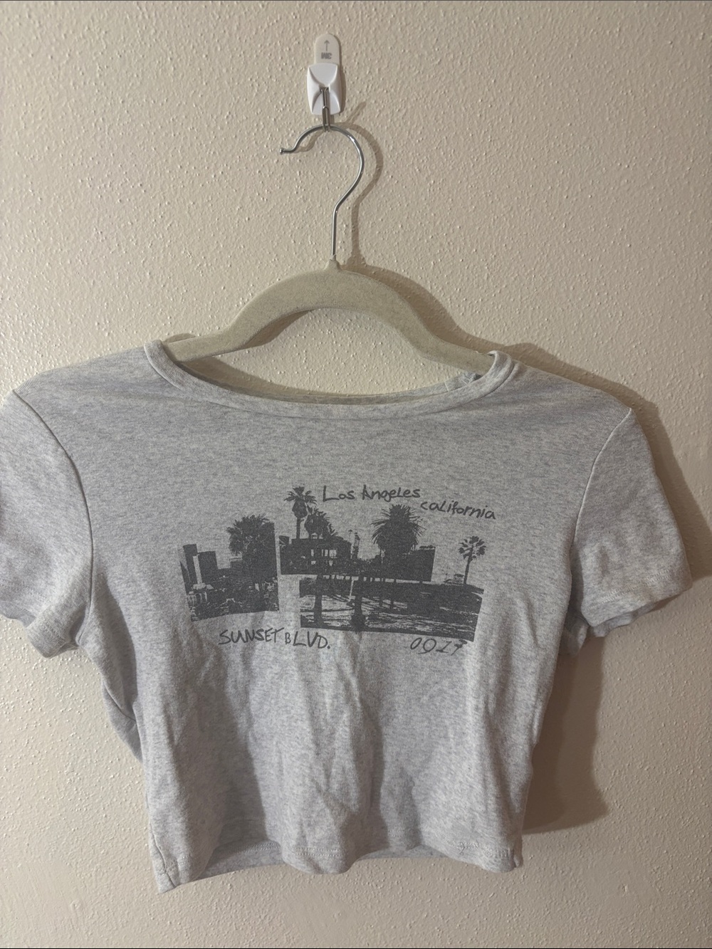 Garage Gray Graphic Crop Tee - Los Angeles Sunset